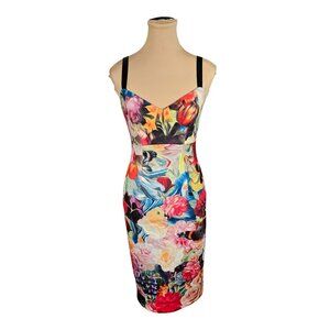 Ted Baker Doona Floral Swirl Dress Sz 1 US 4